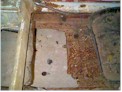 Rusty Pan