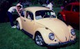 Slammed Peachy Bug