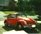 67 Pink Bug